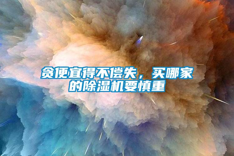 貪便宜得不償失，買哪家的除濕機要慎重