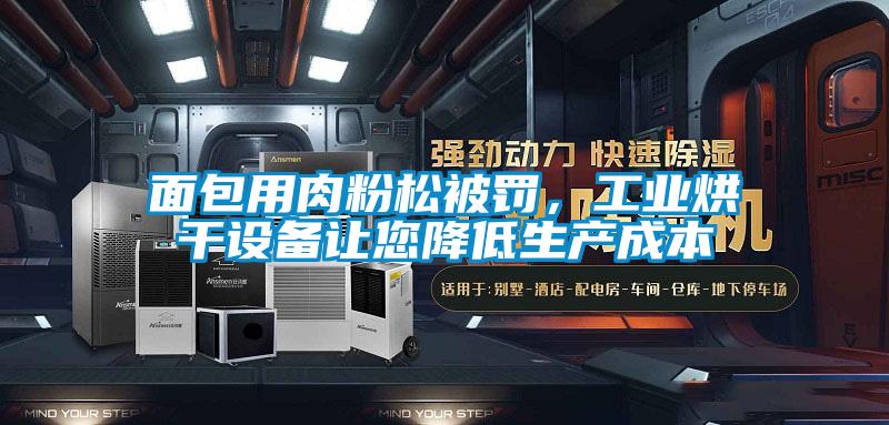 面包用肉粉松被罰，工業(yè)烘干設備讓您降低生產(chǎn)成本
