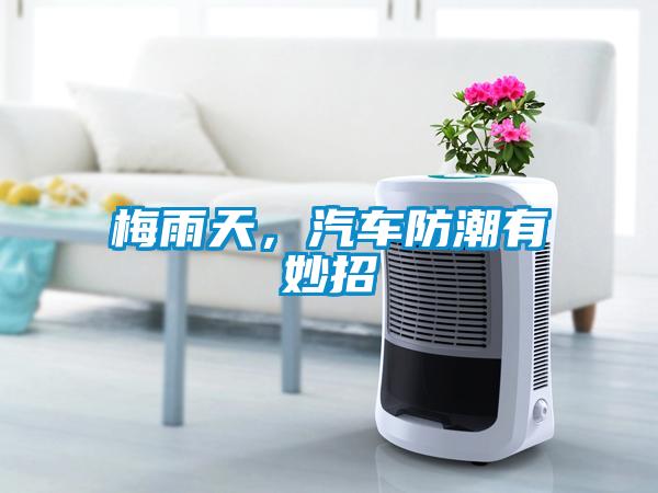 梅雨天，汽車(chē)防潮有妙招