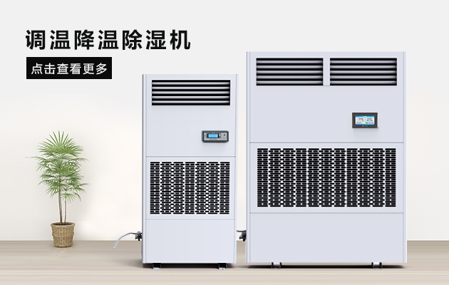 梅雨季遇上520，禮物選擇是難題