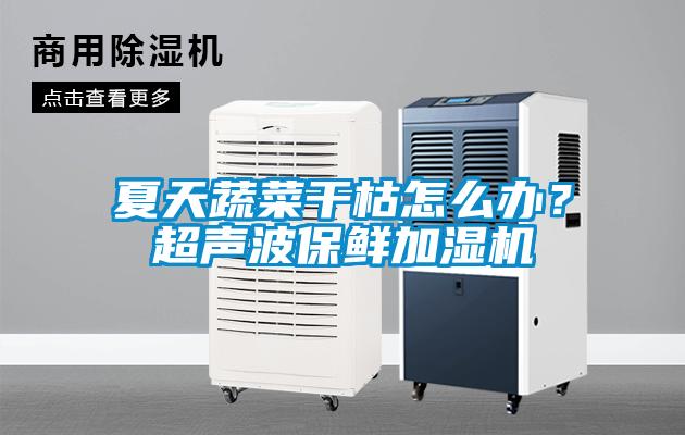 夏天蔬菜干枯怎么辦？超聲波保鮮加濕機(jī)