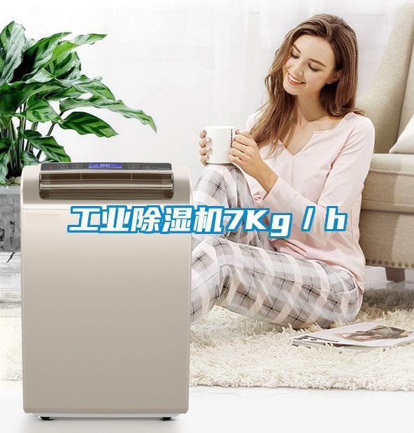 工業(yè)除濕機(jī)7Kg／h
