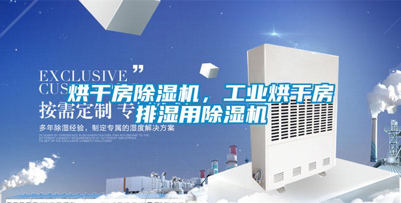 烘干房除濕機(jī)，工業(yè)烘干房排濕用除濕機(jī)