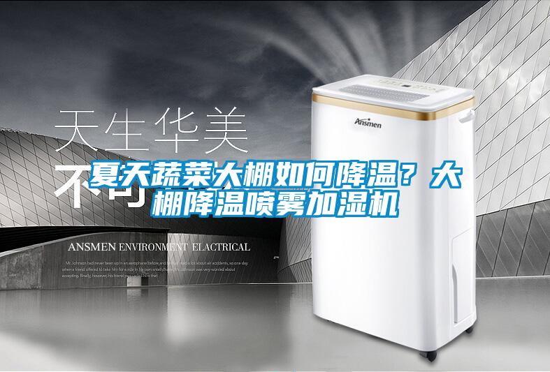 夏天蔬菜大棚如何降溫？大棚降溫噴霧加濕機