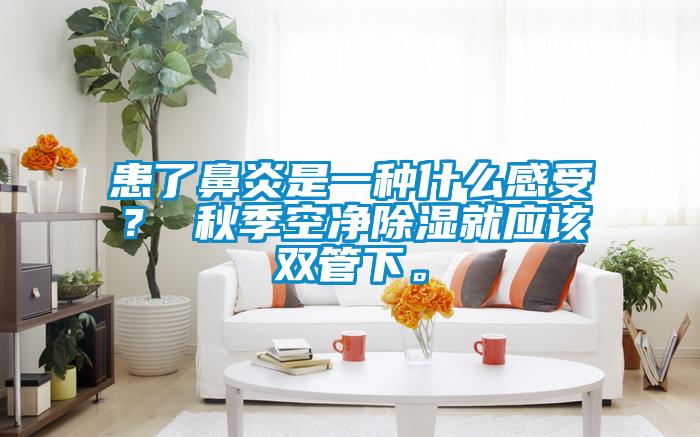 患了鼻炎是一種什么感受？ 秋季空凈除濕就應(yīng)該雙管下。