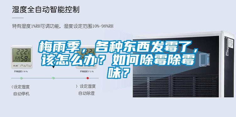 梅雨季，各種東西發霉了，該怎么辦？如何除霉除霉味？