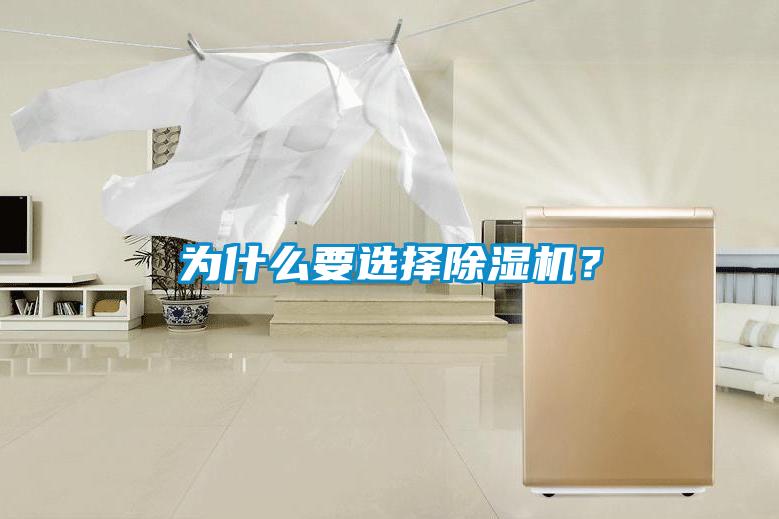 為什么要選擇除濕機？