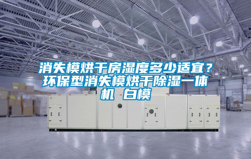 消失模烘干房濕度多少適宜?環(huán)保型消失模烘干除濕一體機(jī) 白模