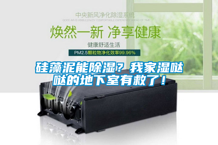 硅藻泥能除濕？我家濕噠噠的地下室有救了！