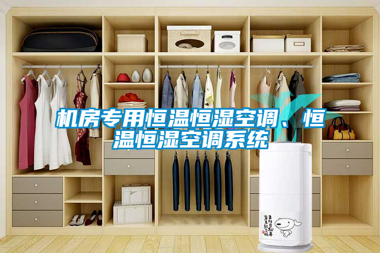 機房專用恒溫恒濕空調、恒溫恒濕空調系統(tǒng)