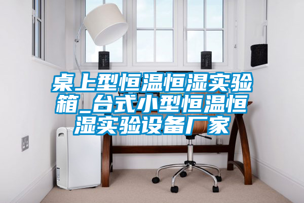 桌上型恒溫恒濕實驗箱_臺式小型恒溫恒濕實驗設備廠家