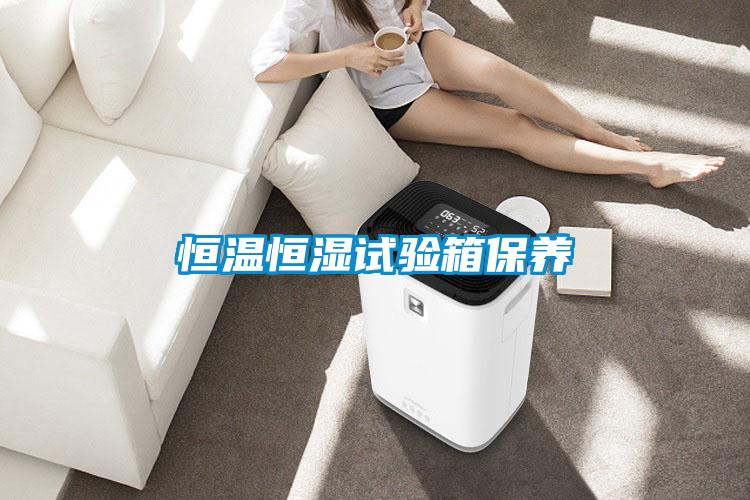 恒溫恒濕試驗箱保養