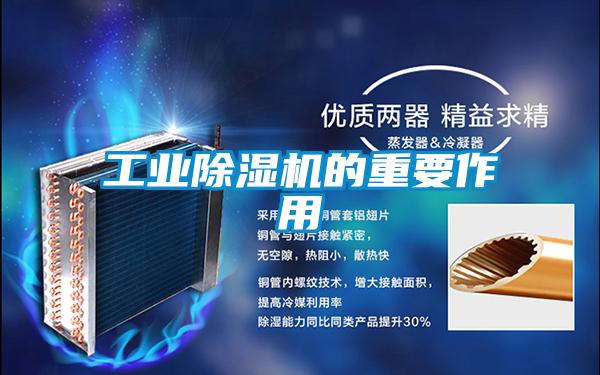 工業(yè)除濕機(jī)的重要作用