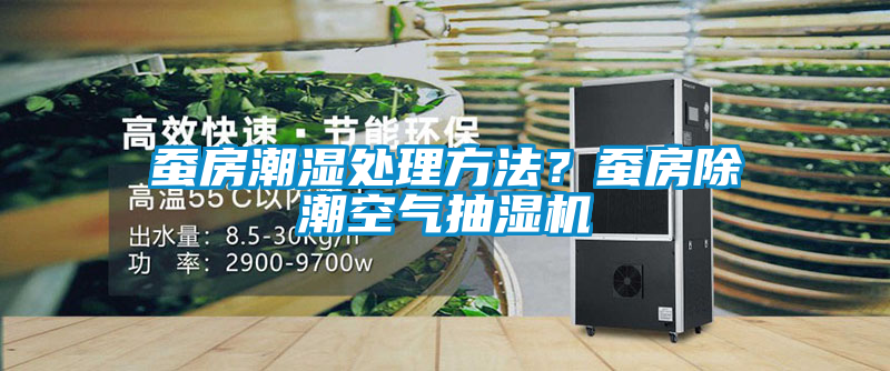 蠶房潮濕處理方法？蠶房除潮空氣抽濕機