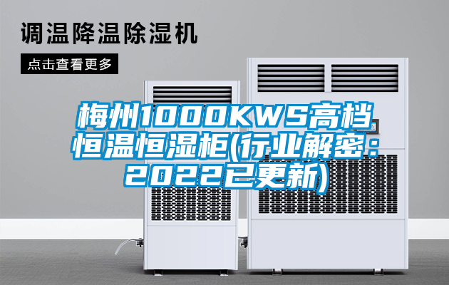梅州1000KWS高檔恒溫恒濕柜(行業解密：2022已更新)