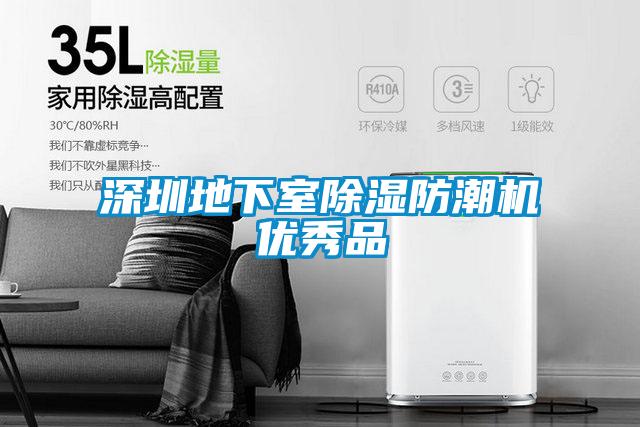 深圳地下室除濕防潮機優秀品