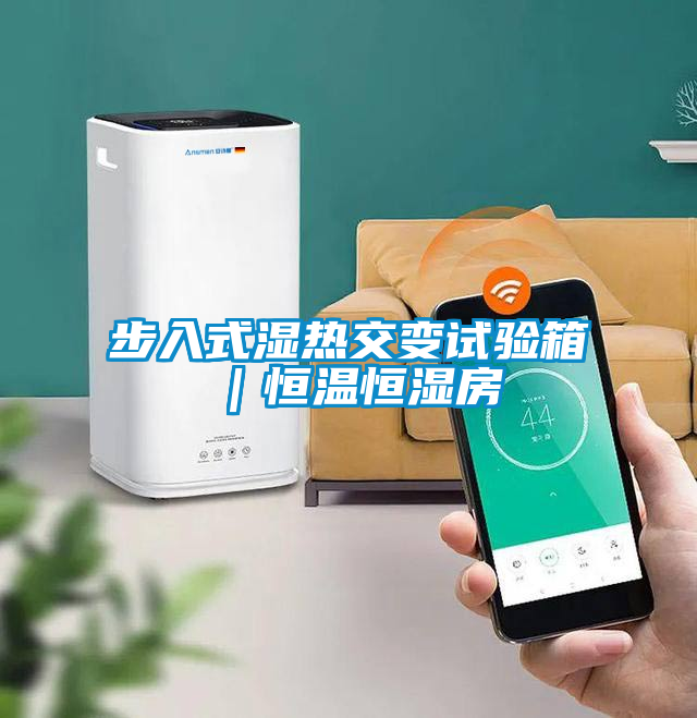 步入式濕熱交變?cè)囼?yàn)箱｜恒溫恒濕房