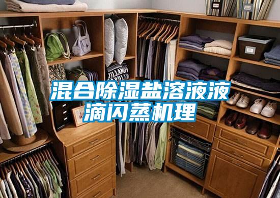 混合除濕鹽溶液液滴閃蒸機理