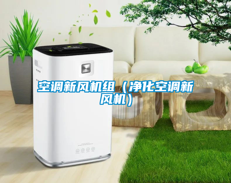 空調新風機組（凈化空調新風機）