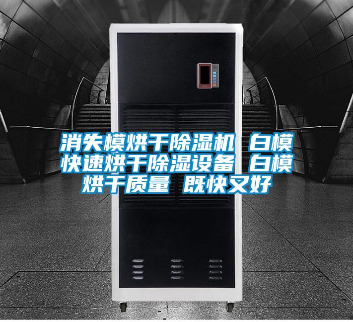消失模烘干除濕機 白?？焖俸娓沙凉裨O備 白模烘干質量 既快又好