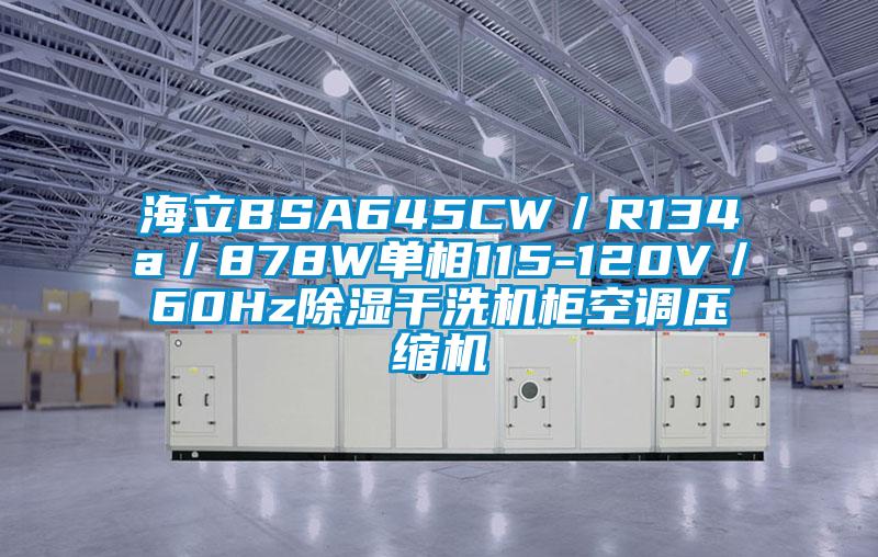 海立BSA645CW/R134a/878W單相115-120V/60Hz除濕干洗機柜空調壓縮機