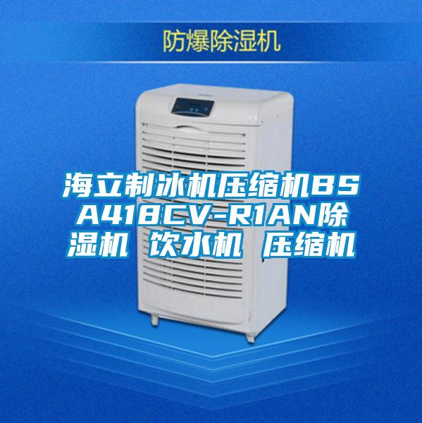 海立制冰機(jī)壓縮機(jī)BSA418CV-R1AN除濕機(jī) 飲水機(jī) 壓縮機(jī)