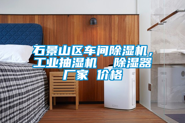 石景山區車間除濕機，工業抽濕機  除濕器廠家 價格