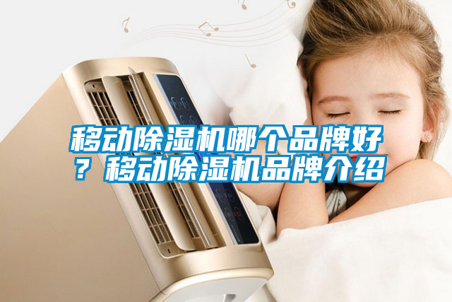 移動(dòng)除濕機(jī)哪個(gè)品牌好？移動(dòng)除濕機(jī)品牌介紹
