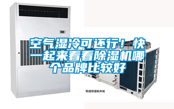 空氣濕冷可還行！快一起來看看除濕機(jī)哪個(gè)品牌比較好