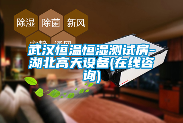 武漢恒溫恒濕測(cè)試房-湖北高天設(shè)備(在線咨詢)