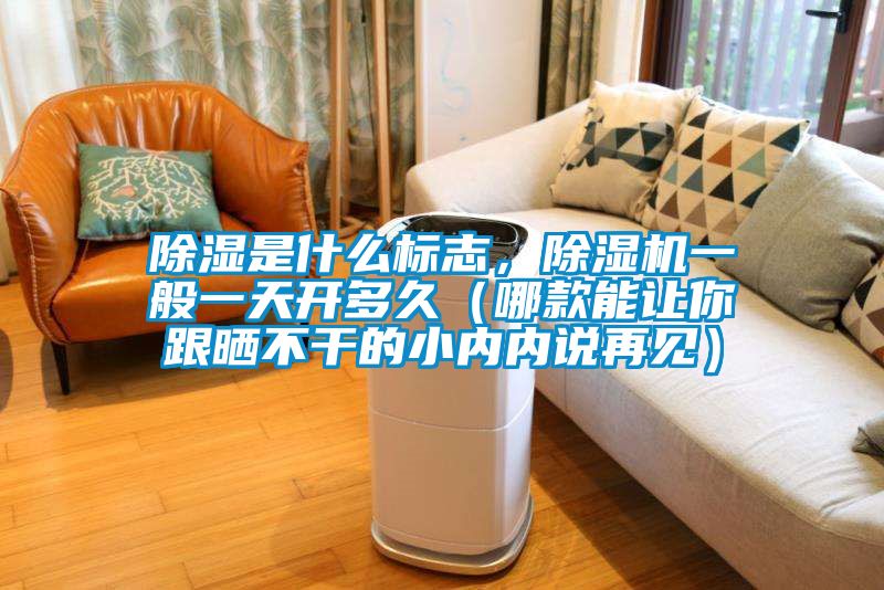 除濕是什么標(biāo)志，除濕機(jī)一般一天開多久（哪款能讓你跟曬不干的小內(nèi)內(nèi)說再見）