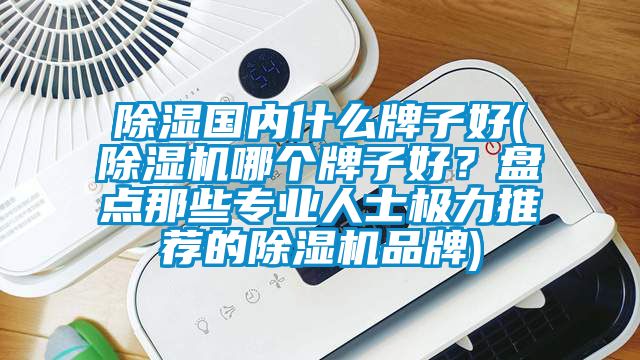 除濕國內(nèi)什么牌子好(除濕機(jī)哪個牌子好？盤點(diǎn)那些專業(yè)人士極力推薦的除濕機(jī)品牌)