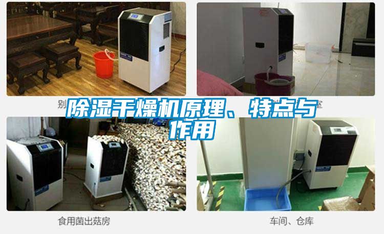 除濕干燥機(jī)原理、特點(diǎn)與作用