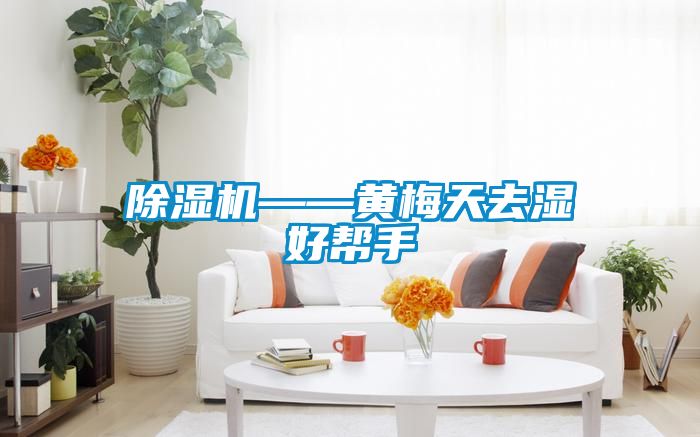 除濕機(jī)——黃梅天去濕好幫手