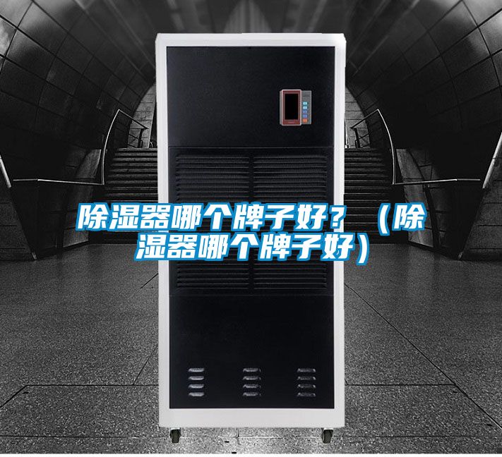 除濕器哪個牌子好？（除濕器哪個牌子好）