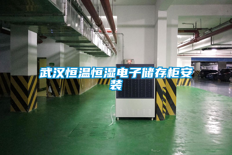 武漢恒溫恒濕電子儲(chǔ)存柜安裝
