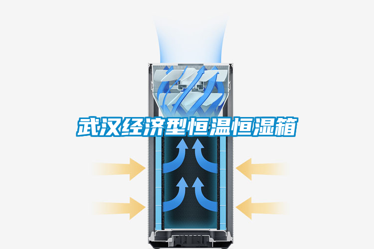 武漢經濟型恒溫恒濕箱