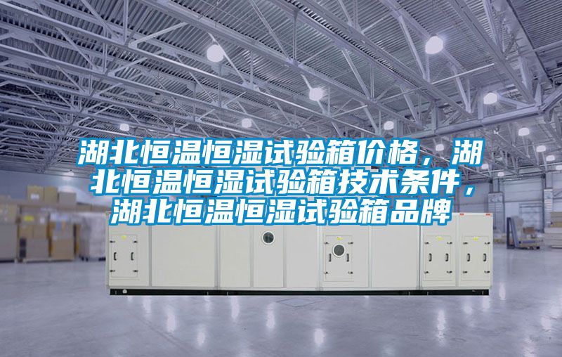 湖北恒溫恒濕試驗箱價格，湖北恒溫恒濕試驗箱技術條件，湖北恒溫恒濕試驗箱品牌