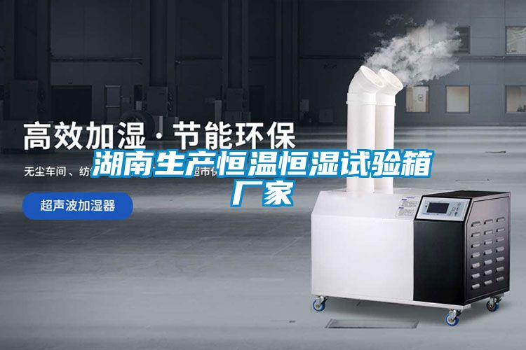湖南生產恒溫恒濕試驗箱廠家
