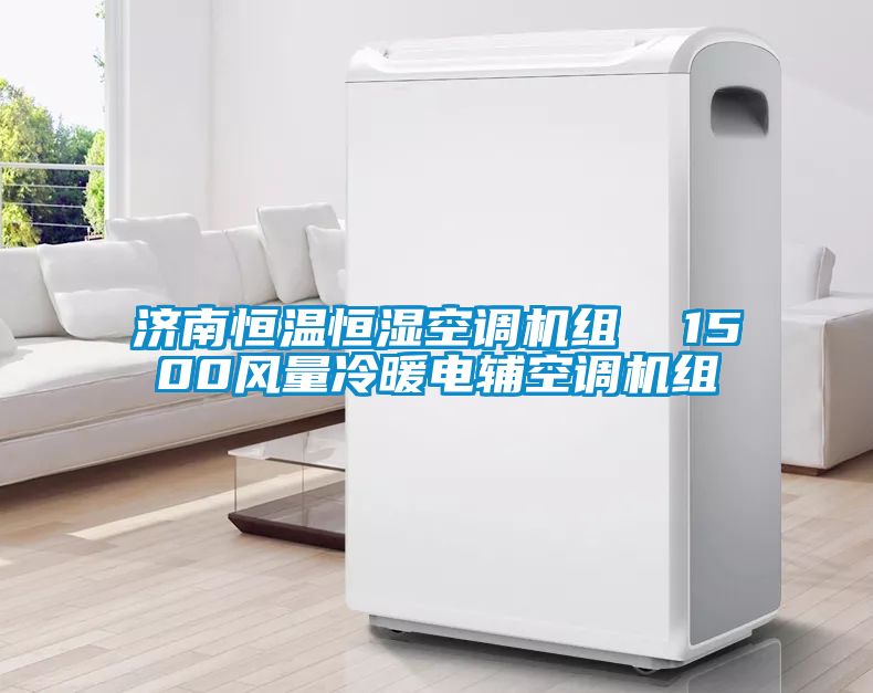 濟南恒溫恒濕空調機組  1500風量冷暖電輔空調機組