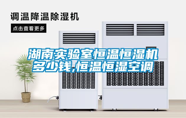湖南實驗室恒溫恒濕機多少錢,恒溫恒濕空調