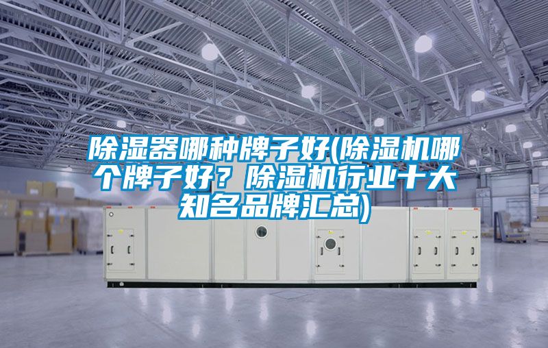 除濕器哪種牌子好(除濕機(jī)哪個牌子好？除濕機(jī)行業(yè)十大知名品牌匯總)