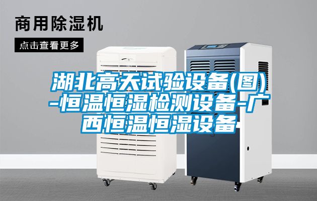 湖北高天試驗設備(圖)-恒溫恒濕檢測設備-廣西恒溫恒濕設備