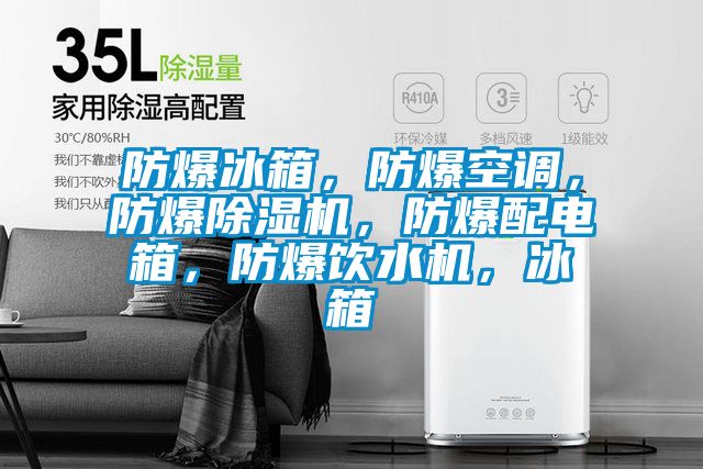 防爆冰箱，防爆空調(diào)，防爆除濕機，防爆配電箱，防爆飲水機，冰箱
