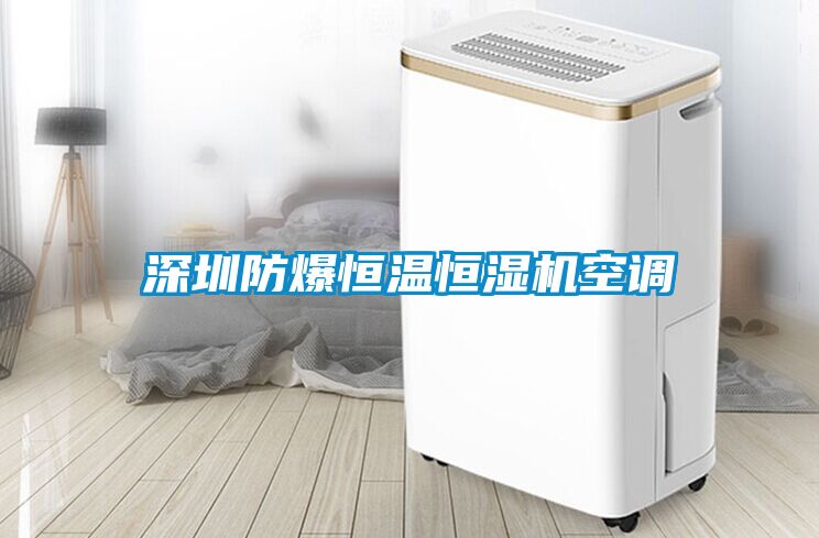 深圳防爆恒溫恒濕機空調