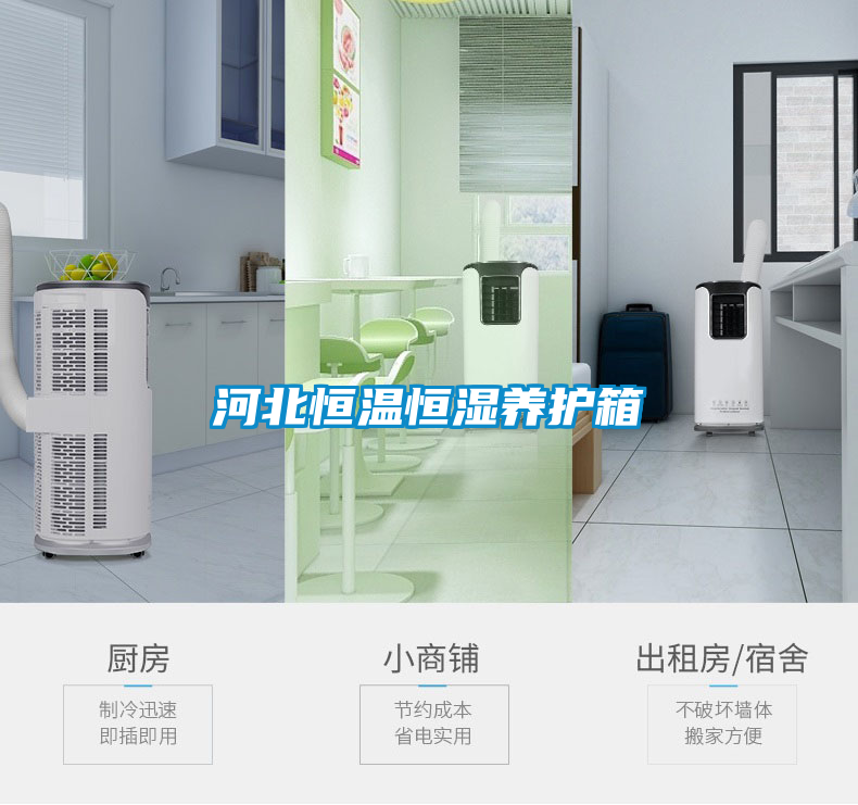 河北恒溫恒濕養護箱