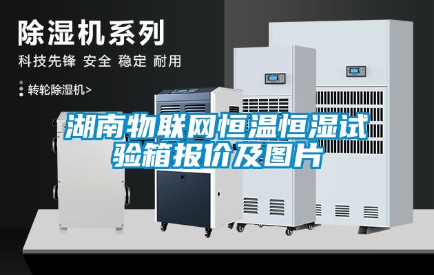 湖南物聯網恒溫恒濕試驗箱報價及圖片