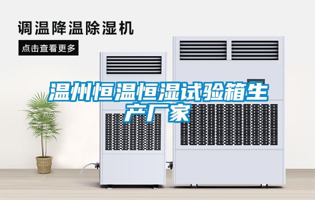 溫州恒溫恒濕試驗箱生產(chǎn)廠家