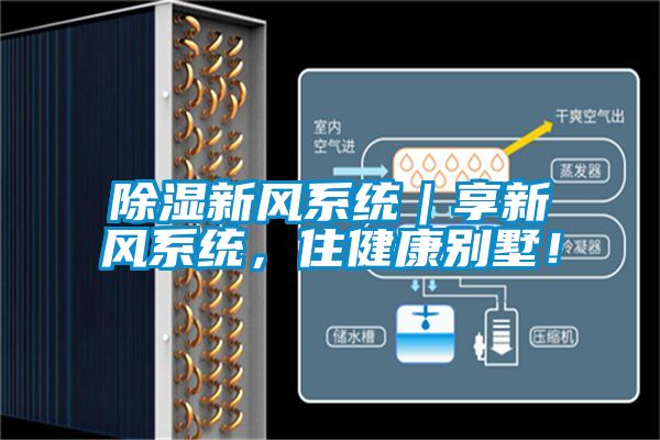 除濕新風(fēng)系統(tǒng)｜享新風(fēng)系統(tǒng)，住健康別墅！