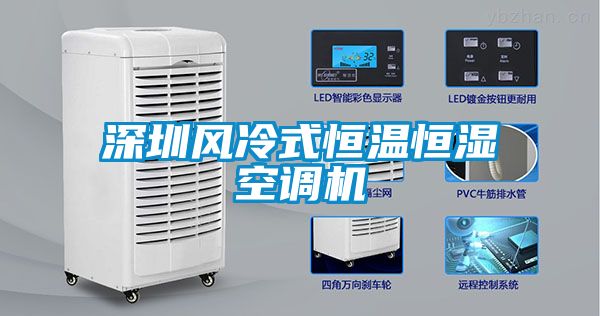 深圳風冷式恒溫恒濕空調機